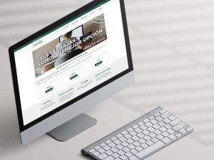 Diseño página web fibra